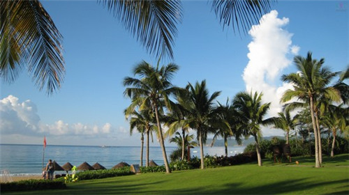 teagoo茶事便利店