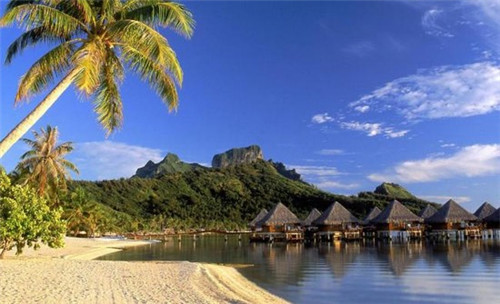 爱丸当当当饮品