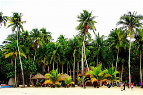 舌尖金陵鸭血粉丝