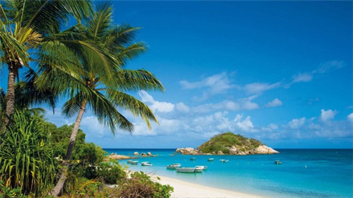 加盟花椒麻椒·酸菜鱼一月可以挣多少钱，投资酸菜鱼加盟店有哪些优势