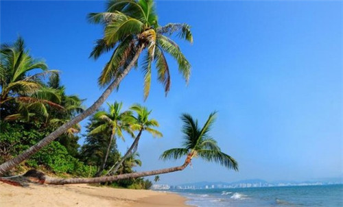 加盟洗得洗车在察哈尔右翼前旗开店装修要多少钱