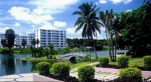 进口饼干加盟店最火爆的项目投资小，进口饼干是什么意思