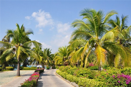 宜昌市开店红茶加盟品牌现在哪些比较可靠