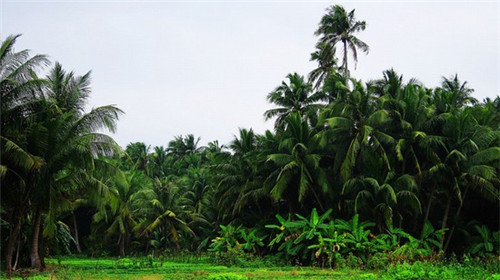 2025托育连锁店排行榜，托育加盟前十名