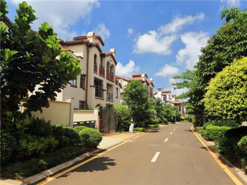 真正的强者流着泪是什么歌（真正的强者不是不会流眼泪）