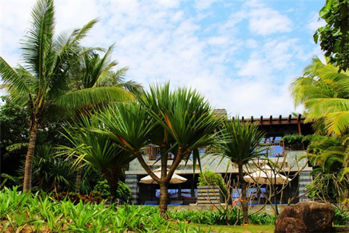 吴景涛爷爷（吴景彪现在做什么）