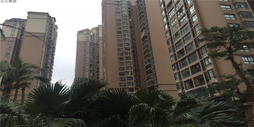 香蕉什么品牌（香蕉哪个品牌好）